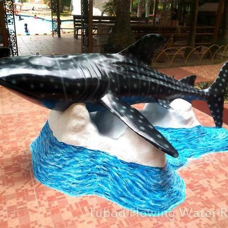 Tubod Flowing Water Resort Minglanilla Εξωτερικό φωτογραφία