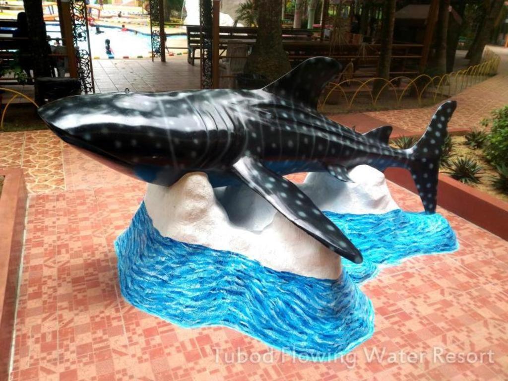 Tubod Flowing Water Resort Minglanilla Εξωτερικό φωτογραφία